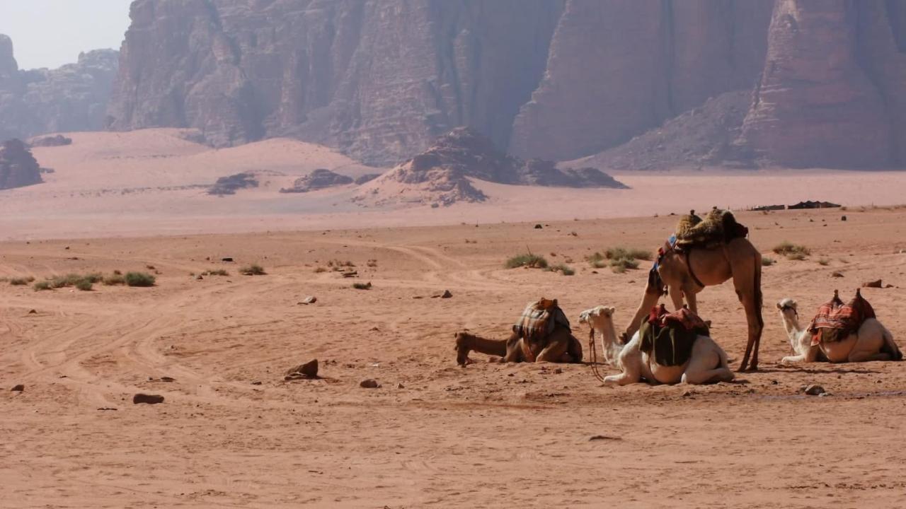 Hôtel Bedouin Memories Camp à Wadi Rum Extérieur photo